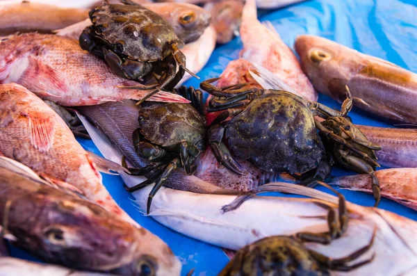 Seafood Fish Market Close — Stock Photo, Image