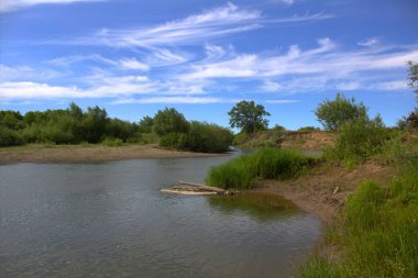 Doğa ve manzara, ön plan ve arkaplan bulanıklaştı