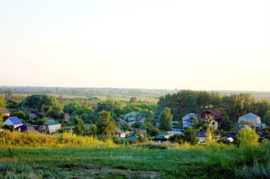 Bir adam köpeğini kuzey Kazakistan 'da bir parkta gezdiriyor.