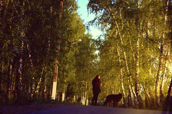 Man Walks His Dog Park Northern Kazakhstan — Stockfoto