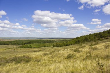 Endless steppes of northern Kazakhstan, front and back background blurred