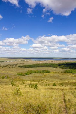 Endless steppes of northern Kazakhstan, front and back background blurred