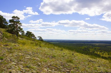 Endless steppes of northern Kazakhstan, front and back background blurred