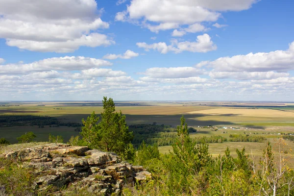 Endless steppes of northern Kazakhstan, front and back background blurred