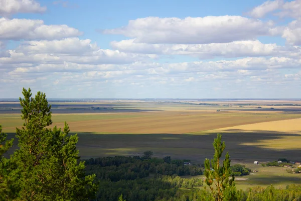Endless steppes of northern Kazakhstan, front and back background blurred