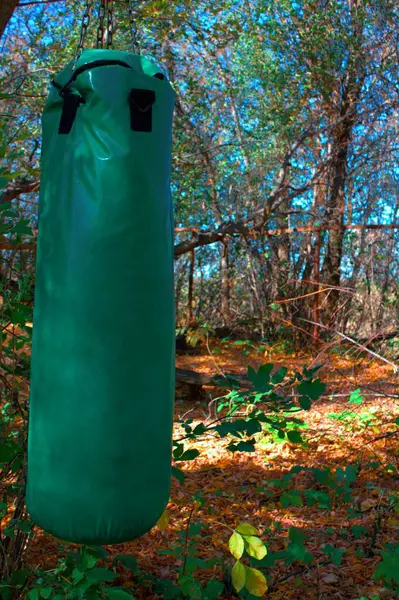 Výcvikový Vak Podzimním Lese Efektem Bokeh — Stock fotografie