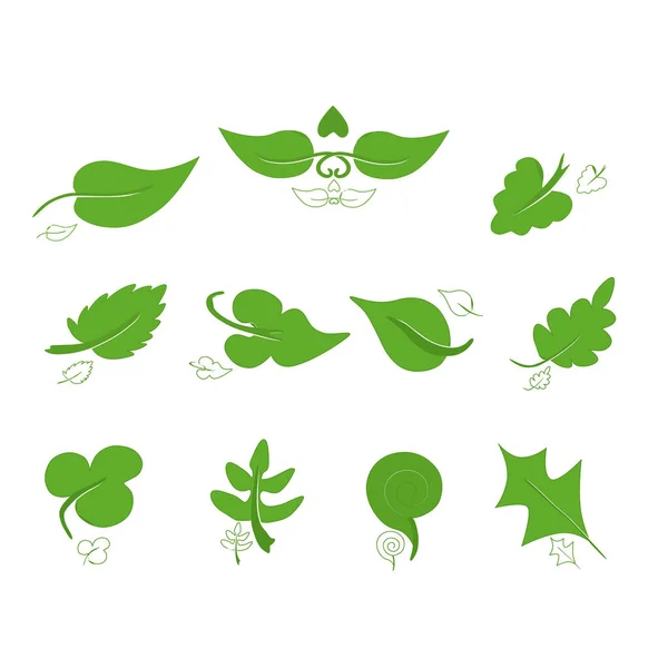 Beyaz yapraklı yeşil yapraklar. Yaprakların farklı modern şekilleri ve onların azaltılmış hatları. Beyaz arka plan. Çevre şirketlerinin logosunu kullanmak için, kağıt, kumaş, dijital biçim.