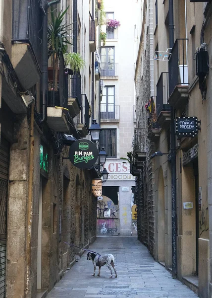 Barcelona sokaklarda