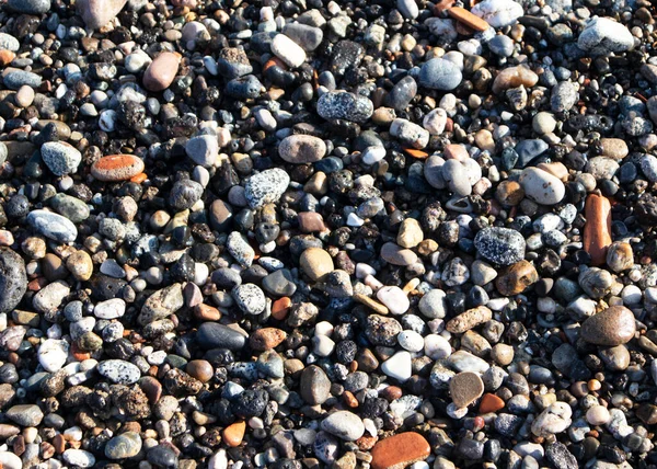 Sahilde kayalar ve su