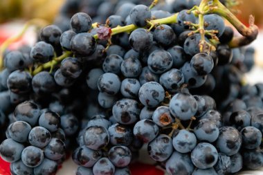 Masada sulu üzümler var.