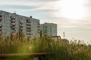 Reed, bir yerleşim alanının dışında.