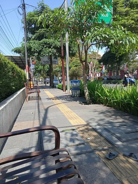 Ciudad Pavimento Vista Calle Con Planta Verde —  Fotos de Stock