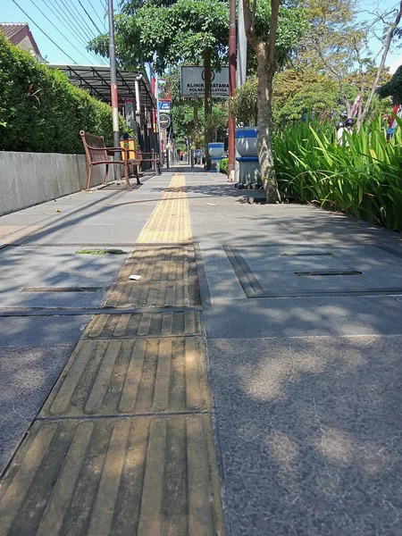 Stadsbestrating Straatbeeld Met Groene Plant — Stockfoto