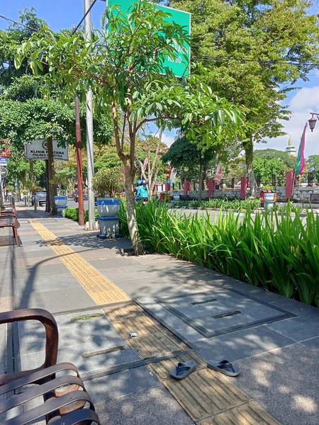Ciudad Pavimento Vista Calle Con Planta Verde — Foto de Stock