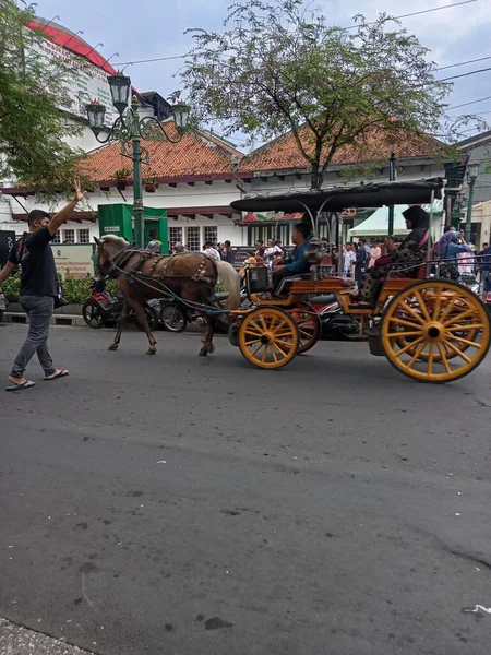 Транспортування Коней Містах — стокове фото