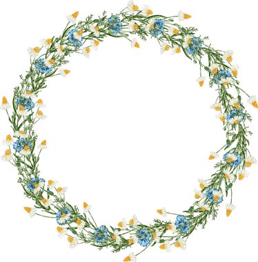 Yabani mavi çiçek ve beyaz papatya çiçeklerinden çiçek çizimi