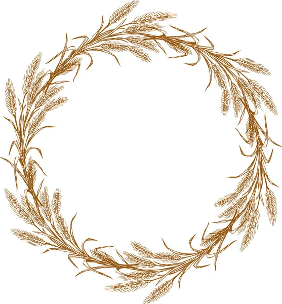 Векторное Изображение Нарисованного Венка Спелых Колосьев Пшеницы — стоковый вектор