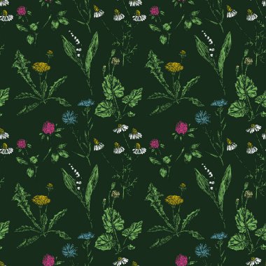Çeşitli desenli yabani çiçeklerin kusursuz deseni