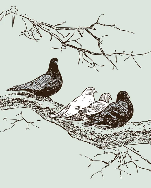 Dibujo Mano Palomas Rama Árbol Primavera — Vector de stock