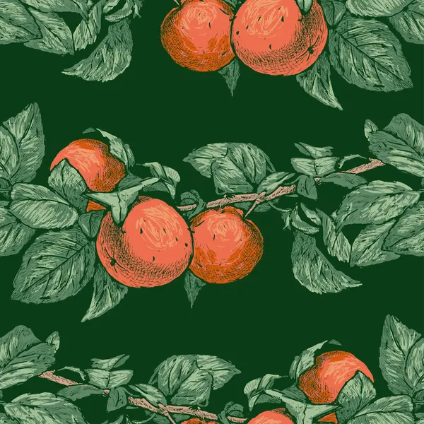 Безшовний Візерунок Намальованих Гілок Стиглими Апельсиновими Мандаринами Зеленим Листям — стоковий вектор