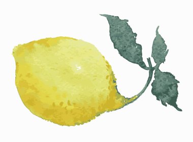 Yeşil yapraklı sarı olgun limon suluboya vektör çizimi