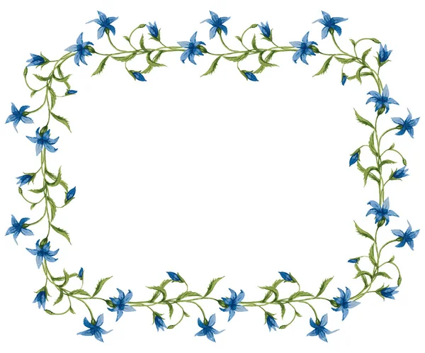 Decoratieve Vector Bloemkader Van Aquareltekeningen Van Delicate Wilde Klokbloemen — Stockvector