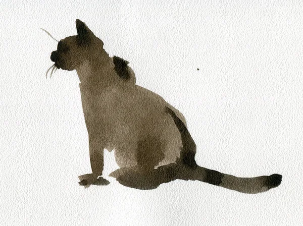 Watercolor Drawing Silhouette Sitting Domestic Siamese Cat — Stockfoto