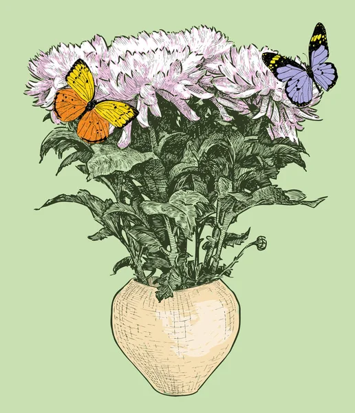 Hand Drawing Bouquet White Garden Chrysanthemums Vase Two Colorful Butterflies — Vector de stock
