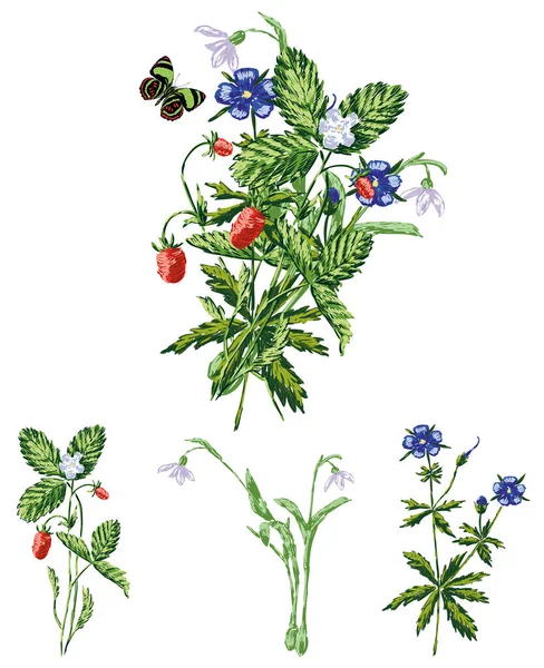 Vector Drawing Bouquet Sprigs Wild Strawberries Forest Flowers — Vetor de Stock