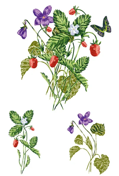 Vector Drawing Bouquet Sprigs Wild Strawberries Lilac Violets —  Vetores de Stock