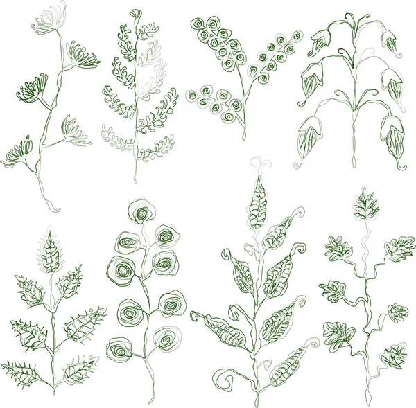 Desenhos Doodle Contorno Vetorial Várias Plantas Fantasia Decorativas —  Vetores de Stock