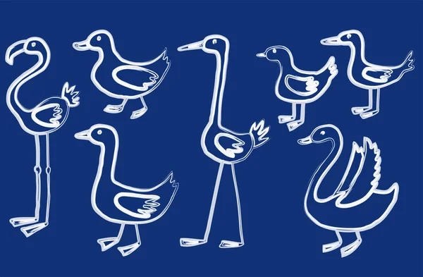 Vectorcontourtekeningen Van Verschillende Cartoon Watervogels — Stockvector