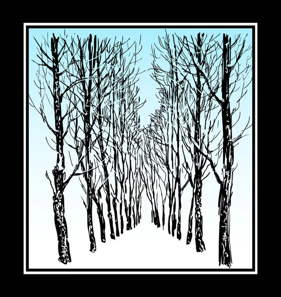 Rysunek Wektorowy Chodnika Perspektywicznego Alejce Drzew Parku Miejskim Kadrze Obrazu — Wektor stockowy