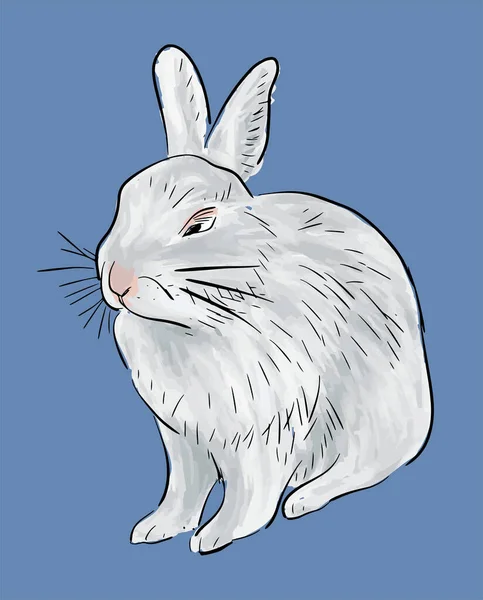Disegno Mano Coniglio Domestico Bianco Seduto — Vettoriale Stock