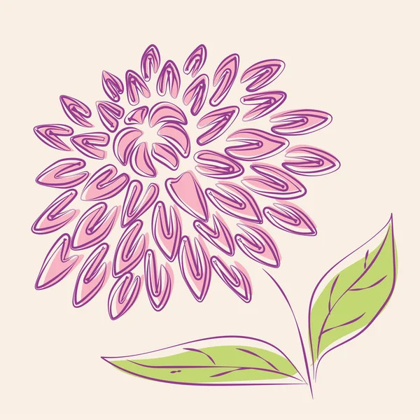 Dibujo Contorno Flor Crisantemo Decorativo Abstracto Único — Vector de stock
