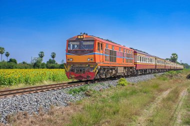 Demiryolunda dizel lokomotifle giden yolcu treni çiçek tarlasından geçer..
