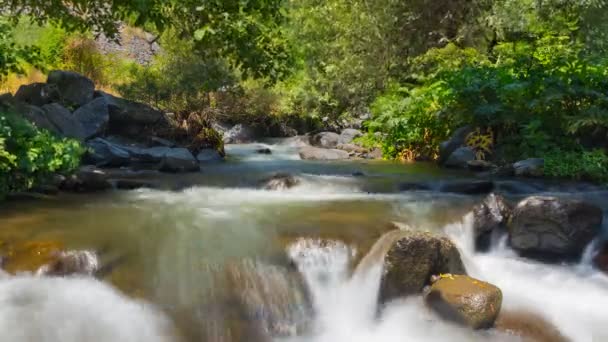 Včas řeky s kameny v krásném lese v Garni Geghard. — Stock video