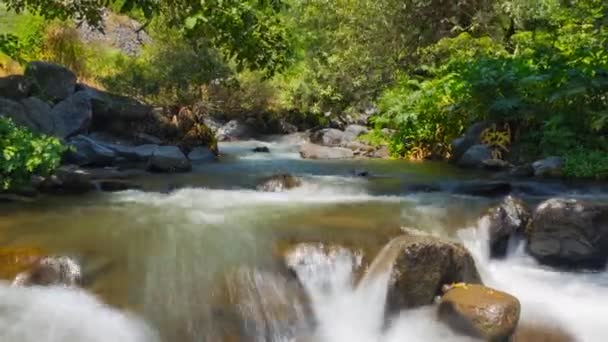 Timelapse de rivière avec des rochers dans une belle forêt à Garni Geghard. — Video