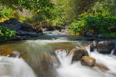 Bulanık nehir, Garni Geghard 'daki güzel ormanda kayalarla dolu..
