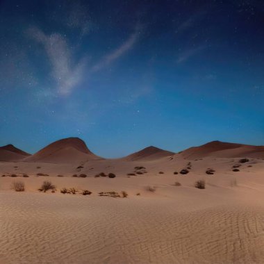 Sihirli peyzajlar, 3 boyutlu canlandırma tekniğiyle yapılır.