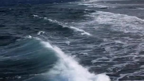 Mare onda di schiuma costiera durante le ore diurne. — Video Stock
