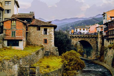 Kitaplardaki saatli kadın.