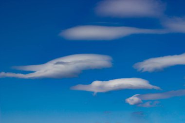 Mavi gökyüzündeki UFO 'lar gibi beyaz, yoğun bulutlar. Dijital duvar kâğıdı tasarımı için mavi arka plandaki gibi beyaz bulutlu modern iş şablonu. Güzel yaz manzarası.