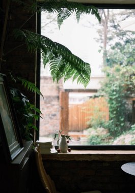 Pencere kenarındaki eğreltiotları