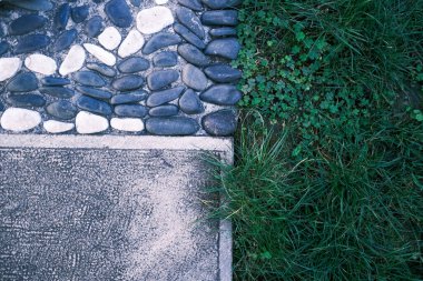 Kaz sıcak taşı ve yeşil çimen