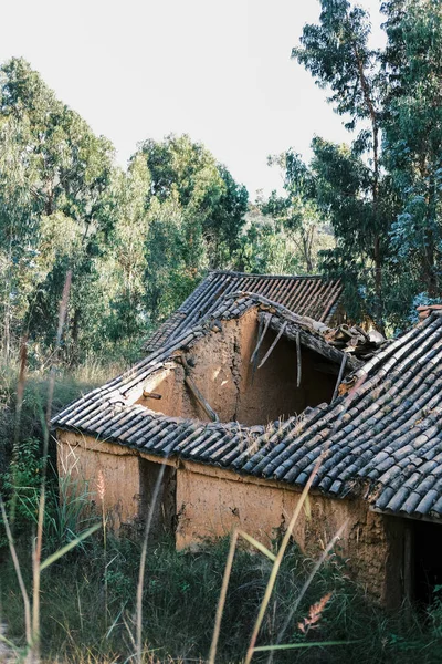 Una Casa Ruinas Bosque — Foto de Stock