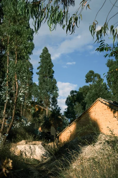 Una Casa Ruinas Bosque — Foto de Stock