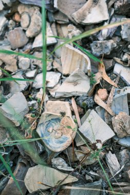 Ormanda bir yığın kiremit