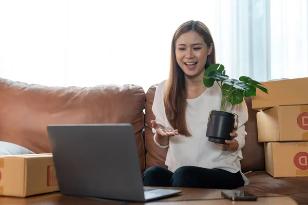 A female entrepreneur selling plants via live streaming laptop computer and checking orders from customer for online shopping concept