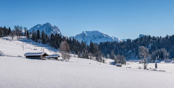 オーストリアの牧歌的な冬の風景,健康, Unken, Salzburger Land,オーストリア — ストック写真